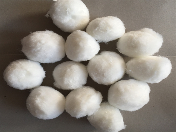 src=http___image01 src=http___image01