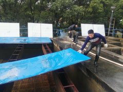 沉淀池中斜管填料要怎么快速清洗？