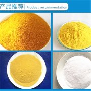 目前24含量聚合氯化鋁多少錢一噸？